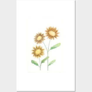 Wild Flowers - Lion Posters and Art